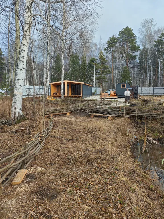 Дворик леса