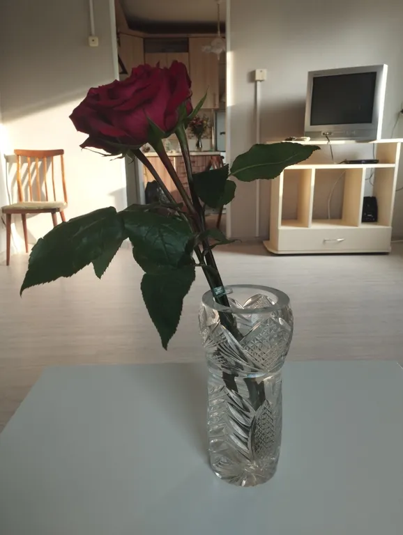 Маленький зеленый домик