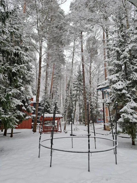 Барнхаус в лесу с голубой гостиной