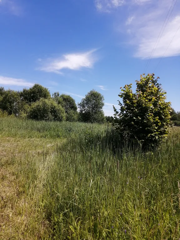 Гостевой дом Застава