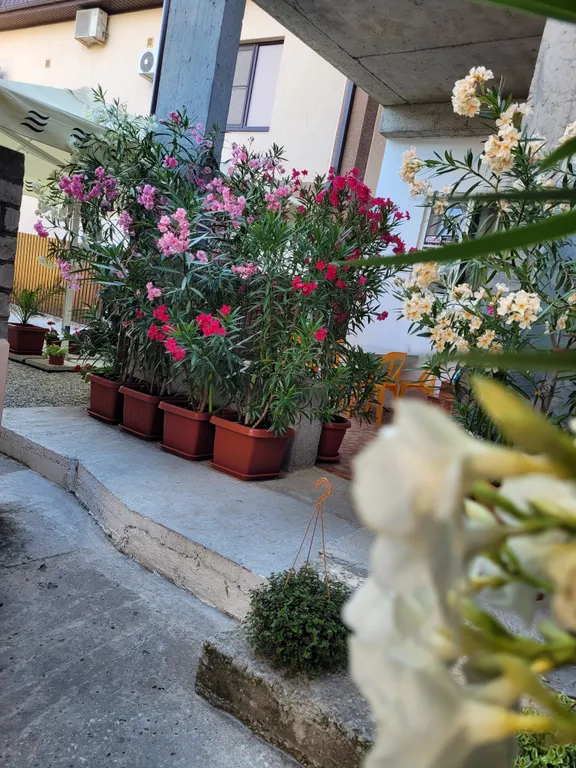 Четырехместный эконом в центр