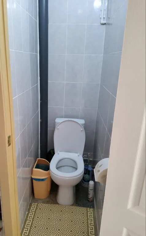 Квартира Элиза