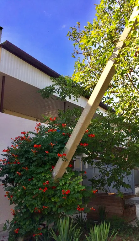 Квартира Комната — Витязево