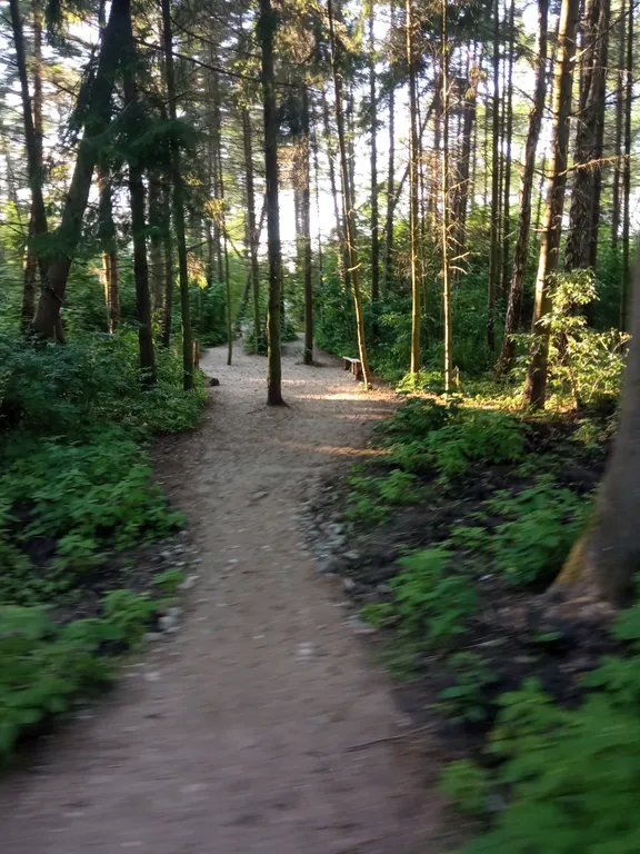 Домик Серфера