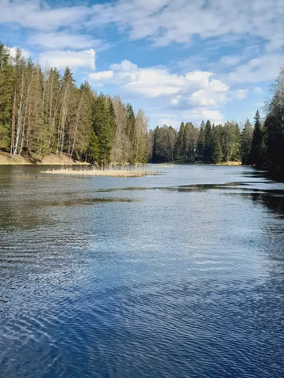 Коттедж Дом Симанского — Сиверский