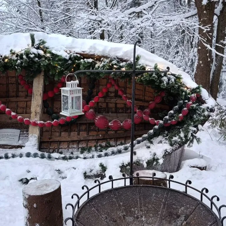 Студия с видом на Шуваловский парк