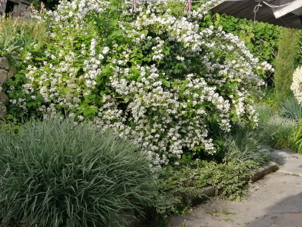 Гостевой дом