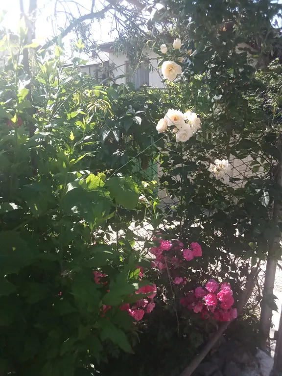 Дом под ключ