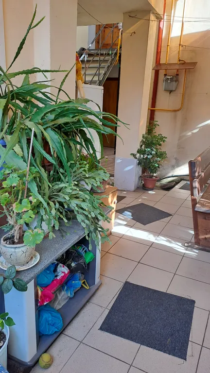 Комната у моря