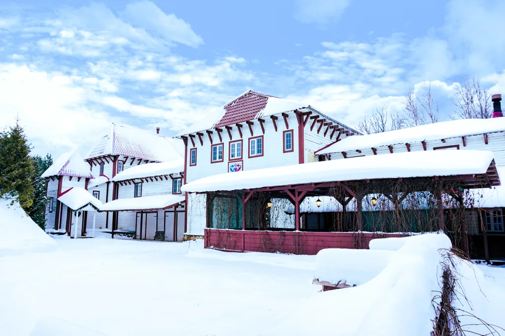 Дом-замок для большой компании