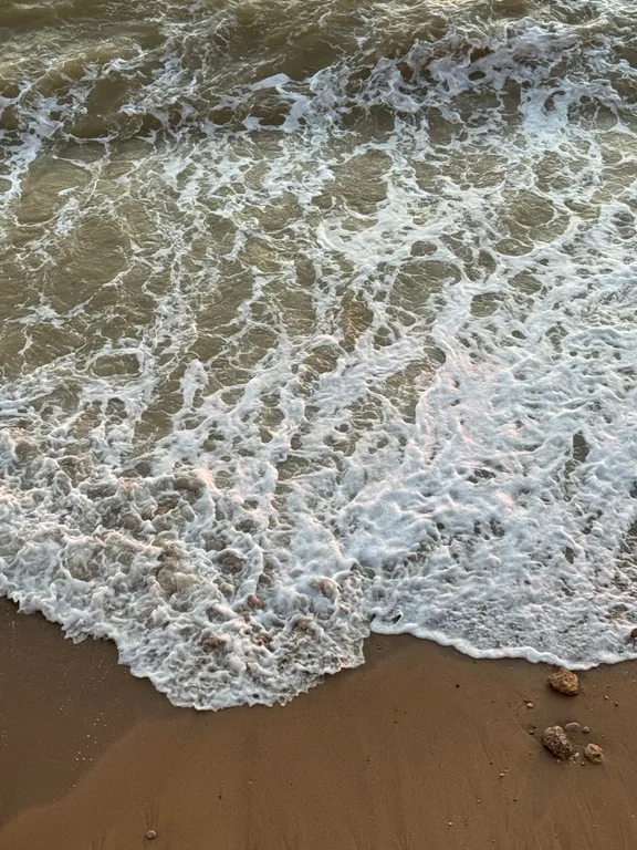 Морская дача у самого моря