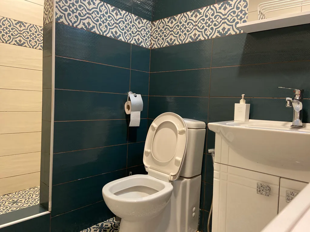 Duplex Patio House in Old Tbilisi