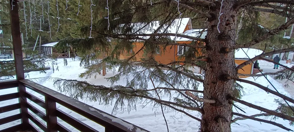 Обновленный люкс