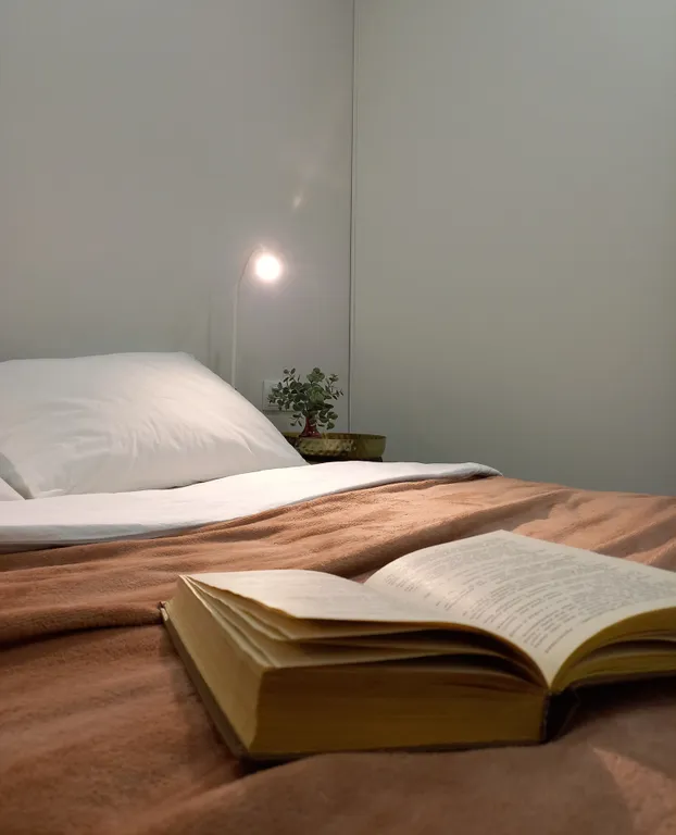 Атмосферные апартаменты в центре Якутска