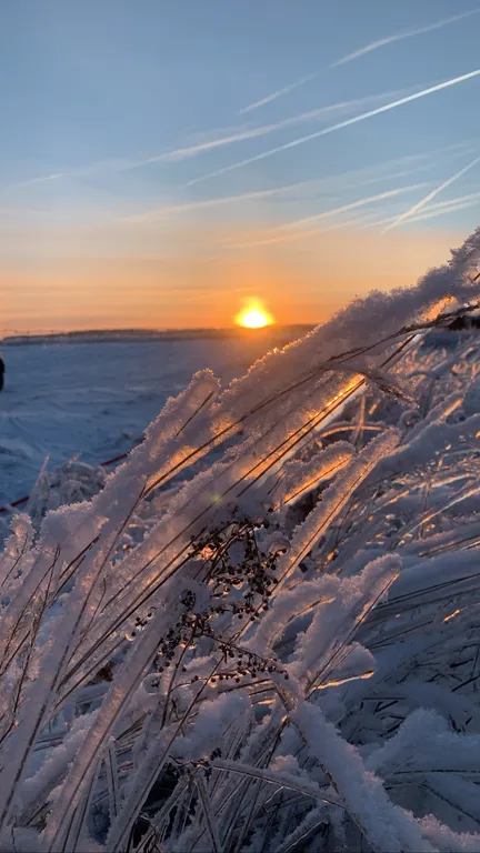 Дом без соседей
