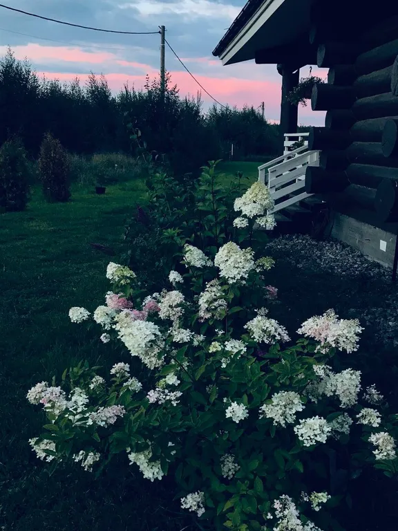 Уютный семейный дом у озера