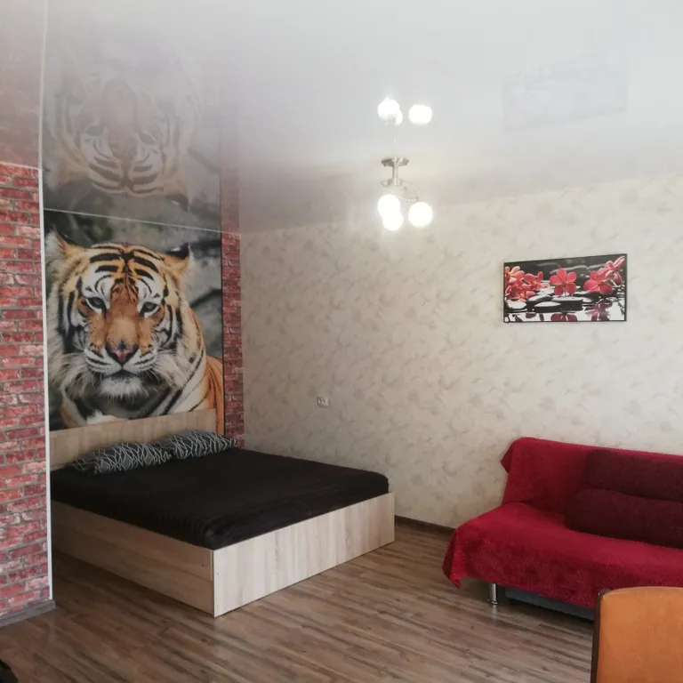 Mr Тигрович в центральном центре