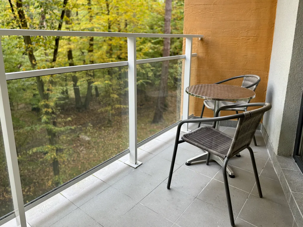 Квартира Апартаменты на берегу моря с видом на лес — Светлогорск