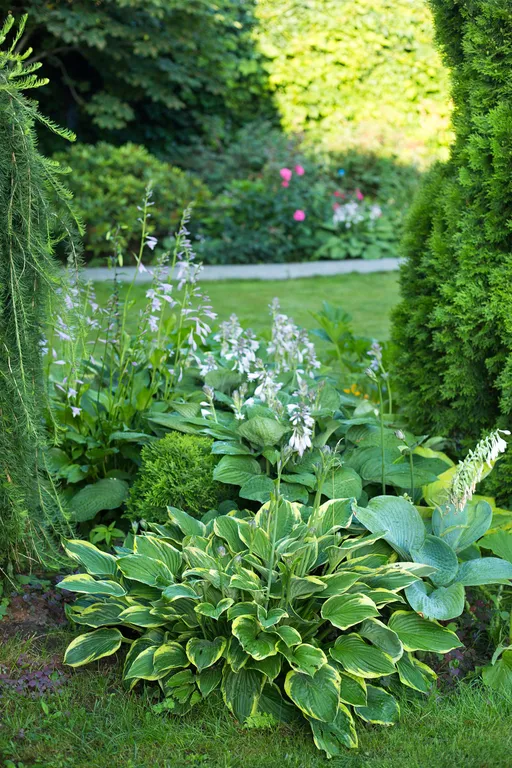 6-комнатный Дом