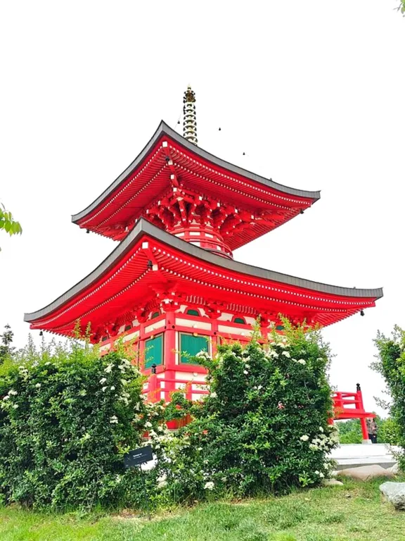 Квартира Апартаменты возле парка Краснодар — Краснодар