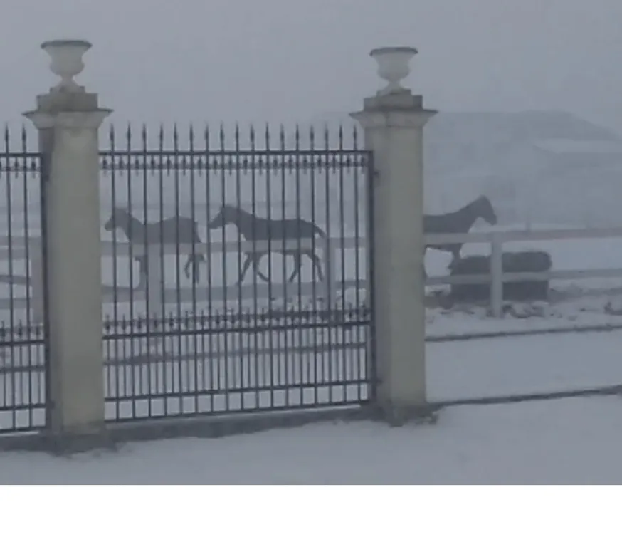 Новенький ЭКО-коттедж от фермера на берегу частных озёр: