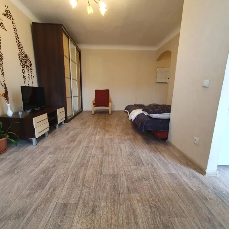 Уютная студия в центре города