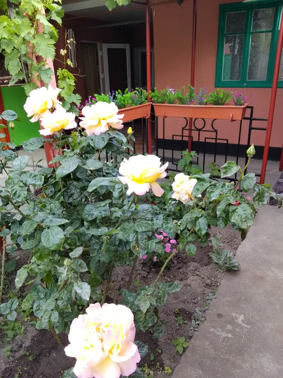 Квартира Комната — Феодосия