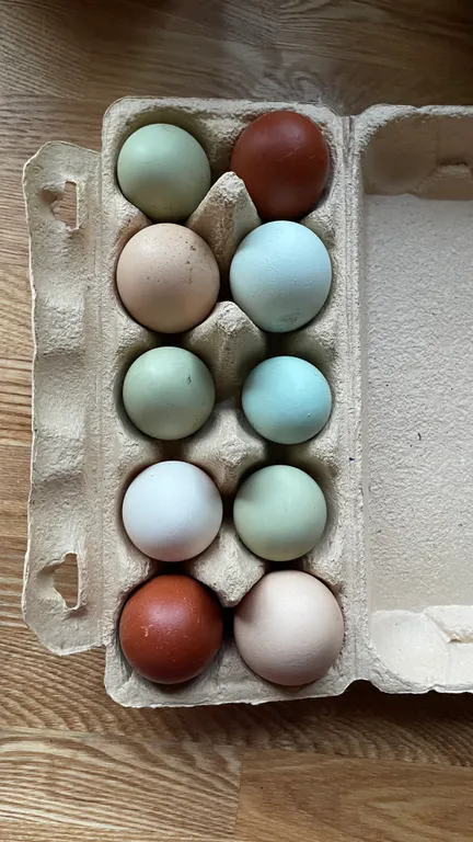 Уютный домик в лесу с горячим чаном