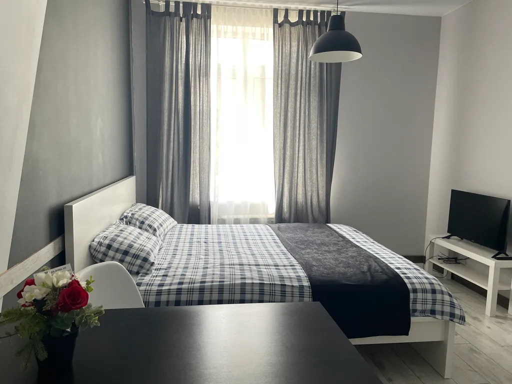 Уютная дружелюбная студия (КакДома на Ленина)