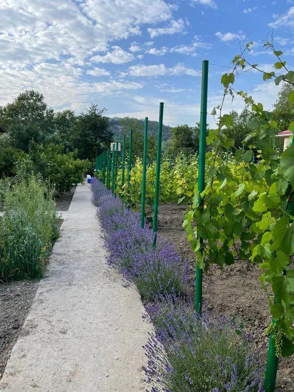 Домик у моря