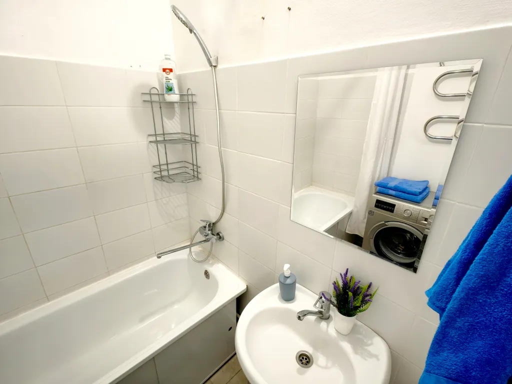 Евродвушка Дельфины Попугаи