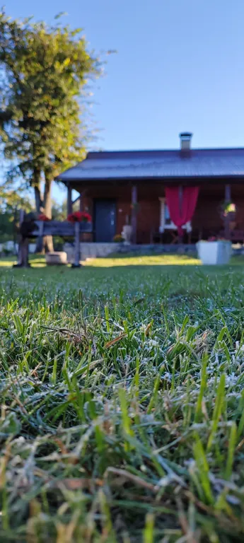 Усадьба Деревенский рай в Беловежской пуще