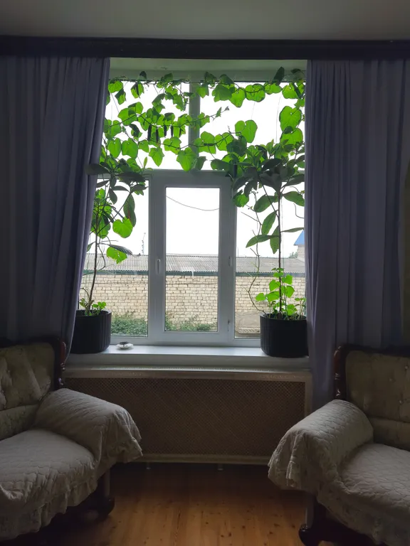 Квартира с дизайнерским ремонтом