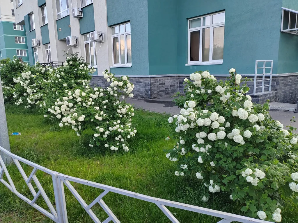 Квартира Апартаменты с видом на реку — Нижний Новгород