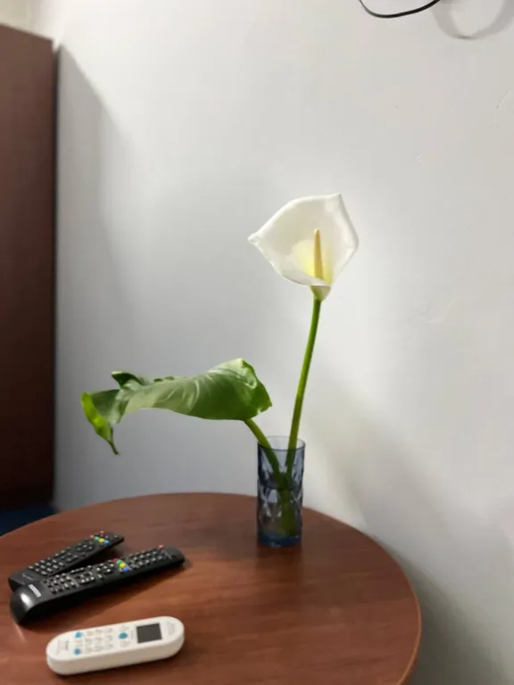 Четырёхместный стандарт