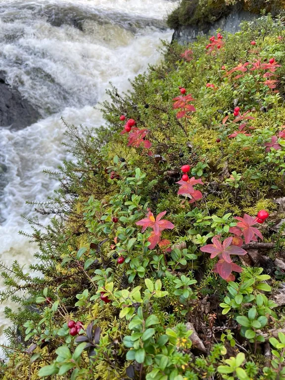 Уютный дом со всеми удобствами на берегу озера Верхнее Куйто