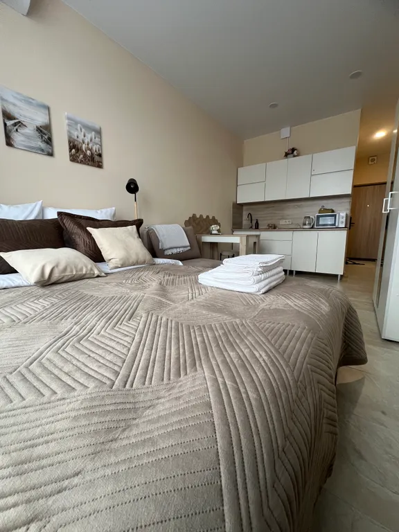 Уютные апартаменты со всем необходимым