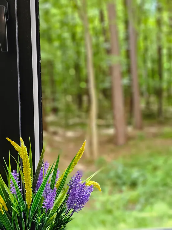 Апартамент с видом на лес