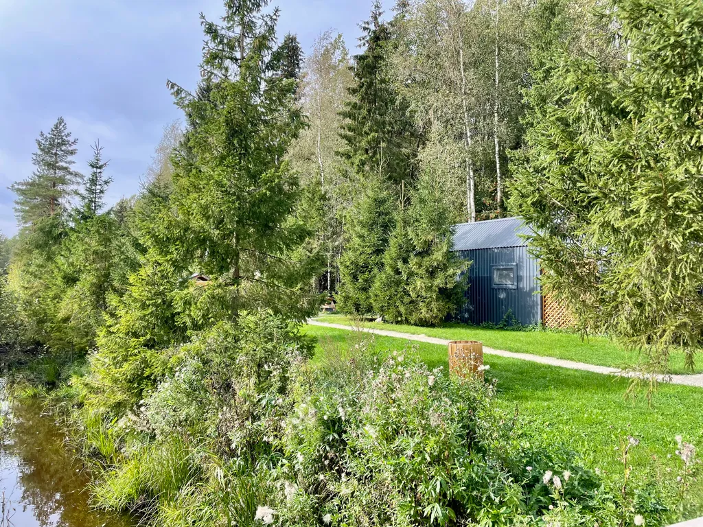 Лесной домик