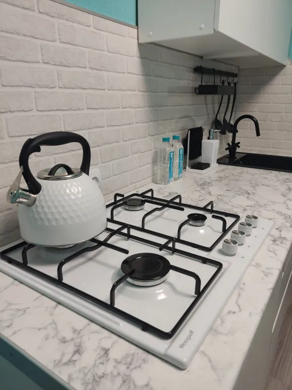 Стильные апартаменты в центре города