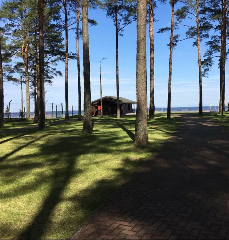 Дом на берегу Псковского озера