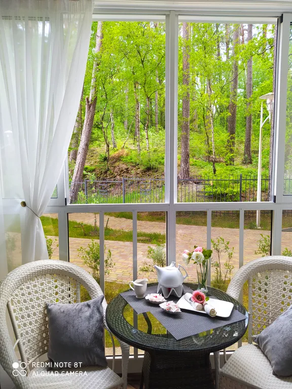 Квартира Уютная квартира с видом на лес — Светлогорск