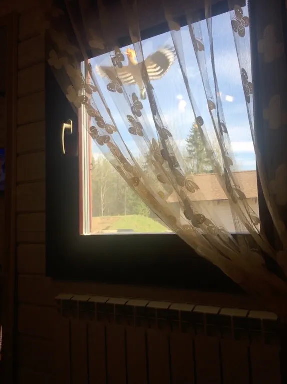 Гостевой дом Прилесье