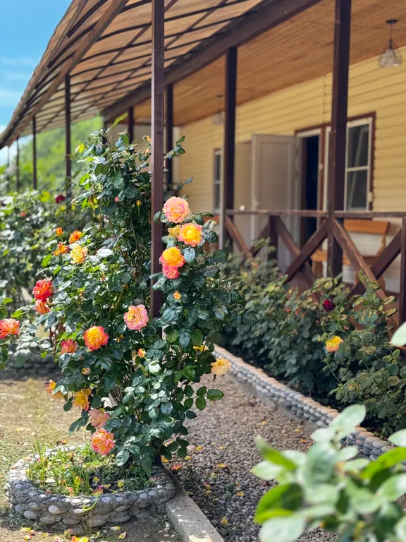 Квартира Квартира Мандаринхауз — Алахадзы