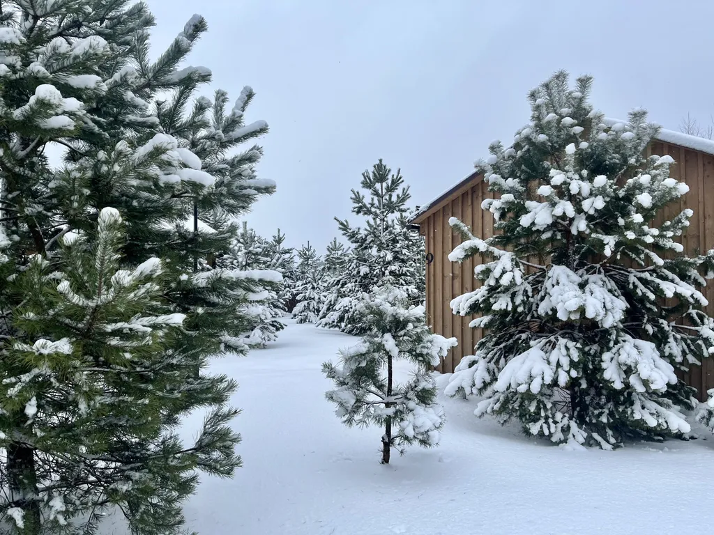 Коттедж 44м в лесу у пруда