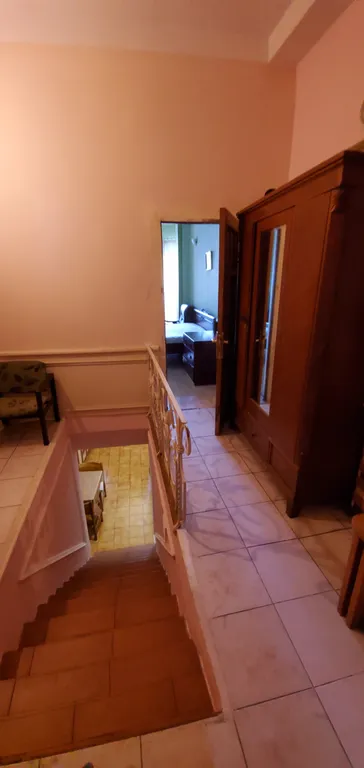 Видовой номер