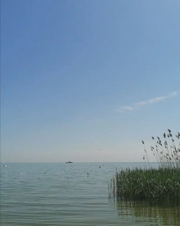 2-комнатная квартира у моря