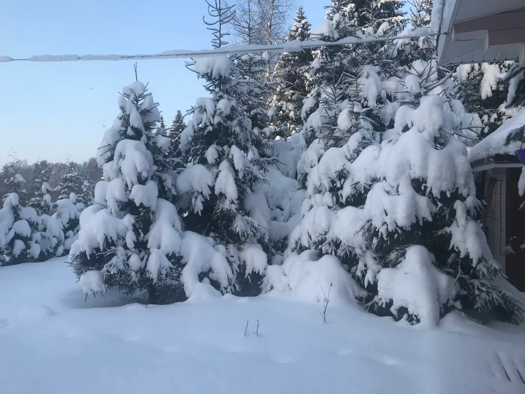 Дом берендей