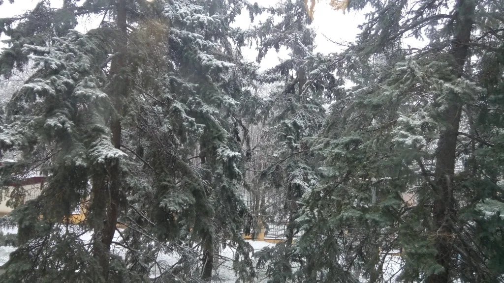 Уютная квартира между парком и озером