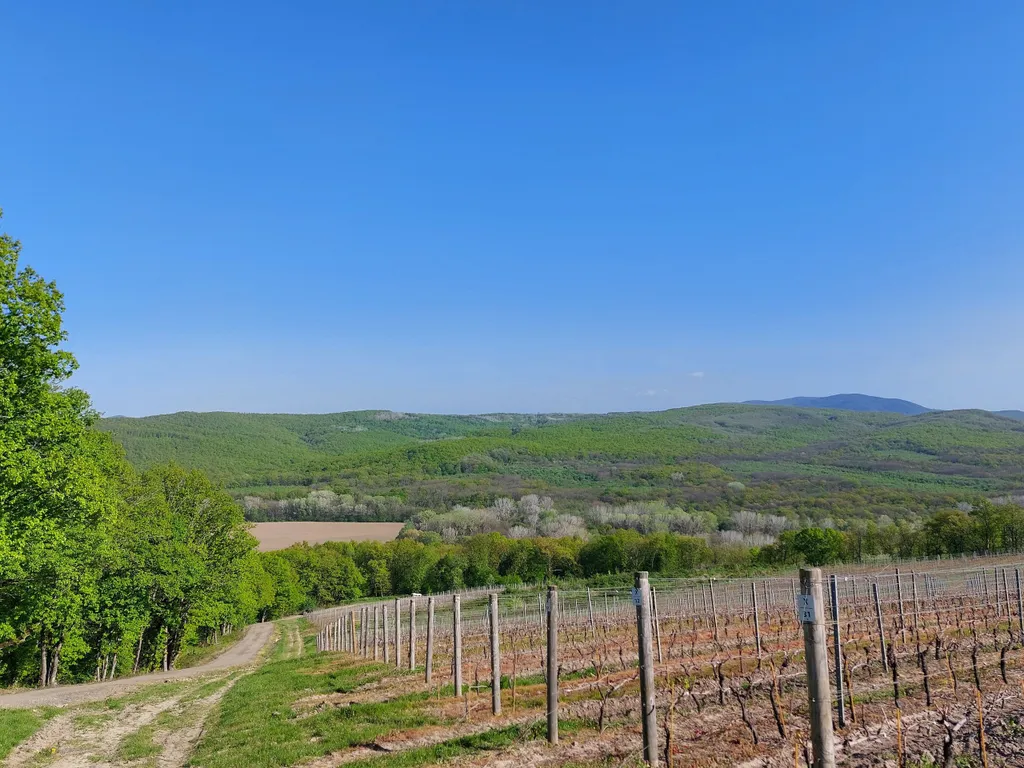 Коттедж Домик в долине — Северская